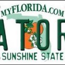 Florida Gators Team Vanity License Plate Tag 6"x12" College Ncaa Metal Auto Car
