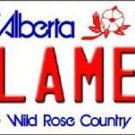 NHL Calgary Flames Vanity License Plate Tag  6"x 12" Metal  Auto Cup Wall New CA