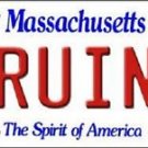 NHL Bruins  Vanity License Plate Tag  6"x 12" Metal Boston Auto Stanley Cup New