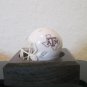 NCAA Texas A&M Aggies Custom Pocket Pro Helmet White  Logo SEC Football