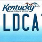 NCAA Kentucky Wildcats License Plate Team State Background Metal Tag U.S.A UK