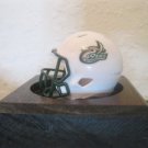 NCAA Charlotte 49ers Custom Pocket Pro Helmet White  Speed UNC Logo