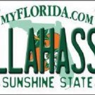 NCAA FSU License Plate College Team Tallahassee Background Metal Tag "U.S.A."