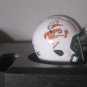 NCAA Miami Hurricanes Custom Speed Pocket Pro Helmet White Mascot Ibis Logo