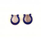 NFL Indianapolis Colts Stud Post Earrings Teams Official Licensed - Aminco Team