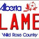NHL Calgary Flames License Plate State Background Metal Tag  U.S.A." Alberta Cup