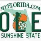 NCAA Noles License Plate College Team Florida State Background Metal Tag U.S.A."