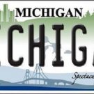 NCAA Michigan Wolverines License Plate State Background Metal Tag  U.S.A." Blue