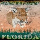Florida Protect The Panther Metal License Plate State Background Car Truck  FL