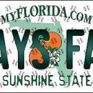 MLB Tampa Bay Rays Fan License Plate State Background Metal Tag U.S.A. Archer