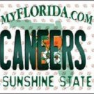 NFL Tampa Bay Buccaneers Fan License Plate Novelty Metal State Background Auto