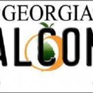 NFL Atlanta Falcons Novelty Metal License Plate State Background Car Truck