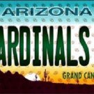 NFL Arizona Cardinals Fan License Plate Novelty Metal State Background Auto