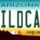 NCAA Arizona Wildcats License Plate Novelty Metal State Background UA Auto Truck
