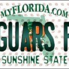 NFL Jacksonville Jaguars Fan License Plate Novelty Metal State Background Auto