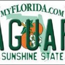 NFL Jacksonville Jaguars  Novelty Metal License Plate State Background Car