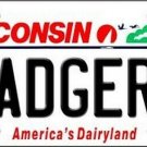 NCAA Wisconsin Badgers License Plate State Background Metal Tag UW Metal