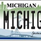 NCAA Go Michigan License Plate Background Metal Tag U.S.A. Wolverines Big Ten