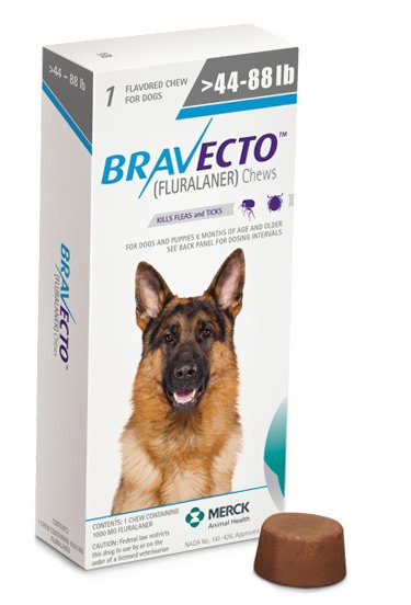 Bravecto X2 large Dogs 44-88 lbs. 20-40 kg Blue (2 chews)