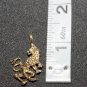 14K 14KT Double Gold Filled Lion Charm or Pendant