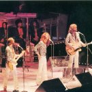 BEE GEES Vintage Postcard MINT  Ships FREE