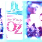 WIZARD OF OZ NEW CHECKBOOK COVER