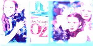 WIZARD OF OZ NEW CHECKBOOK COVER