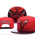 Chicago Bulls Ajustable Hat. logo no lettering on front