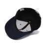 We Just Did 46 Hat Cap. Biden Cap