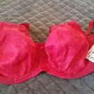 Goddess Womens Plus Size Keira Banded Underwire Bra 38DDD Damask Berry