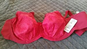 Goddess Womens Plus Size Keira Banded Underwire Bra 38DDD Damask Berry