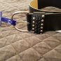 MADDEN GIRL STUD STRETCH BELT-Small/Medium Black