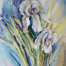 Original watercolor painting, flowers - Iris, floral wall art, decor, blooms, botanical art,