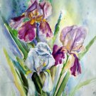 Original watercolor painting, Iris flowers, floral wall art, wall decor, botanical, nature artwork