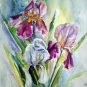 Original watercolor painting, Iris flowers, floral wall art, wall decor, botanical, nature artwork