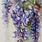 Watercolor flowers, original watercolor painting Wistaria, floral wall art, wall decor