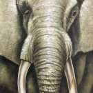 Simple modern Hand painted oil painting on canvas"Elephant"55x105CM(21.7"x41.3") Unframed-01 Simple modern Hand painted oil painting on canvas"Elephant"55x105CM(21.7"x41.3") Unframed-01