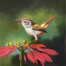 Simple modern Hand painted oil painting on canvas"Cute bird"50x60CM(19.7"x23.6")Unframed-05