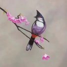 Simple modern Hand painted oil painting on canvas"Cute bird"50x60CM(19.7"x23.6")Unframed-17 Simple modern Hand painted oil painting on canvas"Cute bird"50x60CM(19.7"x23.6")Unframed-17