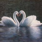 odern Hand painted oil painting on canvas"swan"75x100CM(29.5”x39.4”)Unframed-06