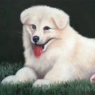 Simple modern Hand-painted oil painting on canvas"Cute dog"50x60CM(19.7"x23.6")Unframe-03