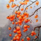 Hand painted oil painting on canvas"persimmon"60x90CM(23.6"x35.4")Unframed-04 Hand painted oil painting on canvas"persimmon"60x90CM(23.6"x35.4")Unframed-04