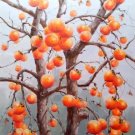 Hand painted oil painting on canvas"persimmon"60x90CM(23.6"x35.4")Unframed-05 Hand painted oil painting on canvas"persimmon"60x90CM(23.6"x35.4")Unframed-05