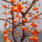 Hand painted oil painting on canvas"persimmon"60x90CM(23.6"x35.4")Unframed-09