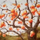 Hand painted oil painting on canvas"persimmon"60x90CM(23.6"x35.4")Unframed-10