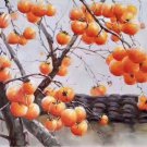 Hand painted oil painting on canvas"persimmon"60x120CM(23.6"x47.2")Unframed-16 Hand painted oil painting on canvas"persimmon"60x120CM(23.6"x47.2")Unframed-16