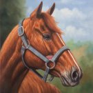 Hand painted oil painting on canvas"Akhal-teke horses"50x60CM(19.7"x23.6")Unframed-14