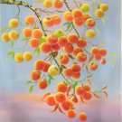 Hand painted oil painting on canvas"persimmon"60x90CM(23.6"x35.4")Unframed-19