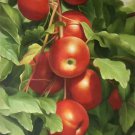 Hand painted oil painting on canvas"bumper harvest fruits"60x90CM(23.6"x35.4")Unframed-54 Hand painted oil painting on canvas"bumper harvest fruits"60x90CM(23.6"x35.4")Unframed-54