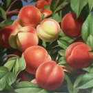 Hand painted oil painting on canvas"bumper harvest fruits"60x90CM(23.6"x35.4")Unframed-58 Hand painted oil painting on canvas"bumper harvest fruits"60x90CM(23.6"x35.4")Unframed-58